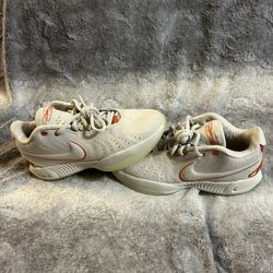 Nike LeBron 20 Akoya Size 8.5 Euc