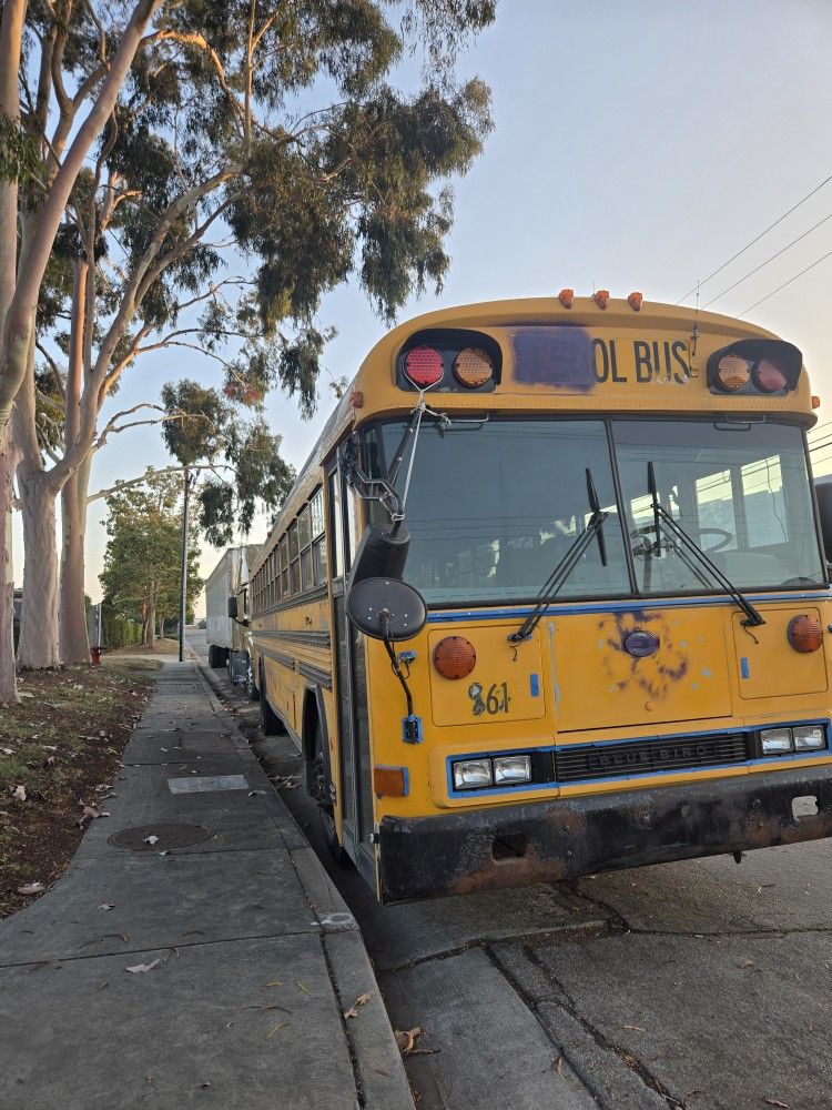 2003 Bluebird Mountain School Bus 