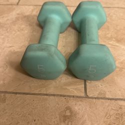 5 Lb Weights