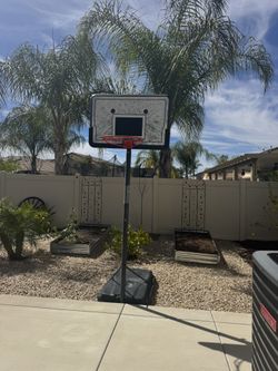 ** FREE** Lifetime 44-Inch Impact Portable Basketball Hoop with Telescoping Adjustment & Classic Rim -Outdoor Play