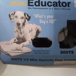 Mini Educator