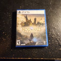 Hogwarts Legacy