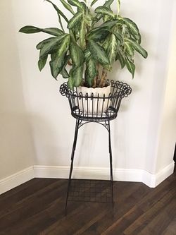 Plant stand