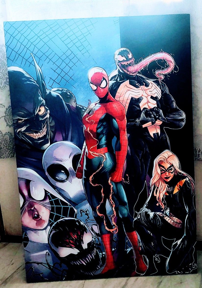 The Amazing Spider Man Rare Comic Canvas