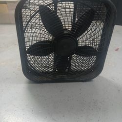 Lasso 20" 3 Speed Fan