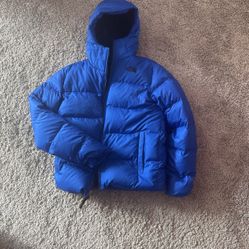 The North Face Winter Jacket 