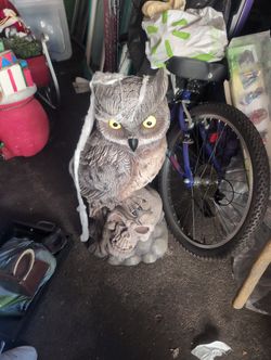 Halloween Owl