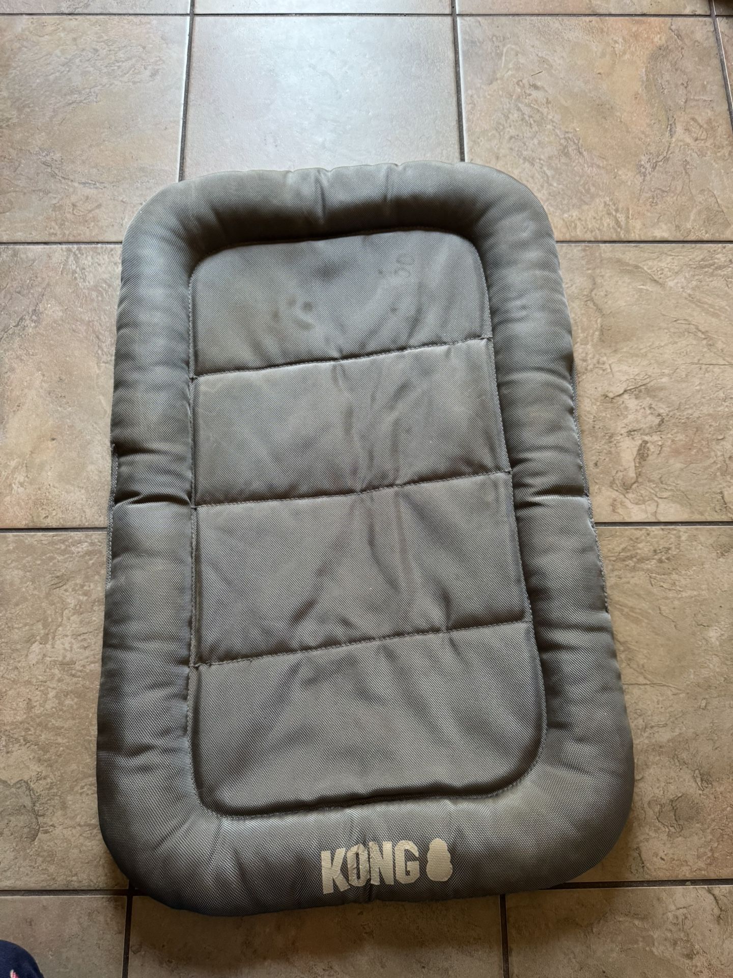 Used Puppy Bed