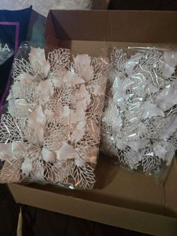Pascuas blancas