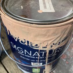 Assorted Paint 