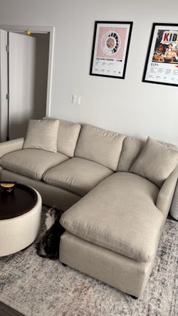 Living Spaces couch