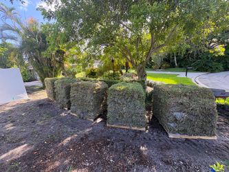 Sod by the pallet