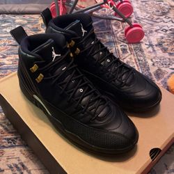 Brand New Jordan Master 12s Size 12