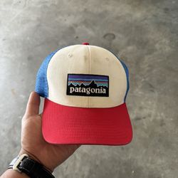 patagonia trucker hat 