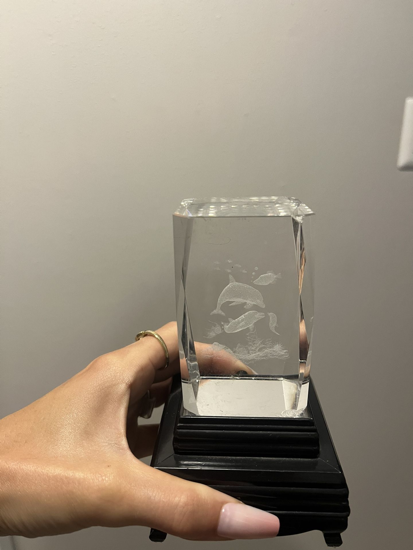 Dolphin Glass And Light Stand