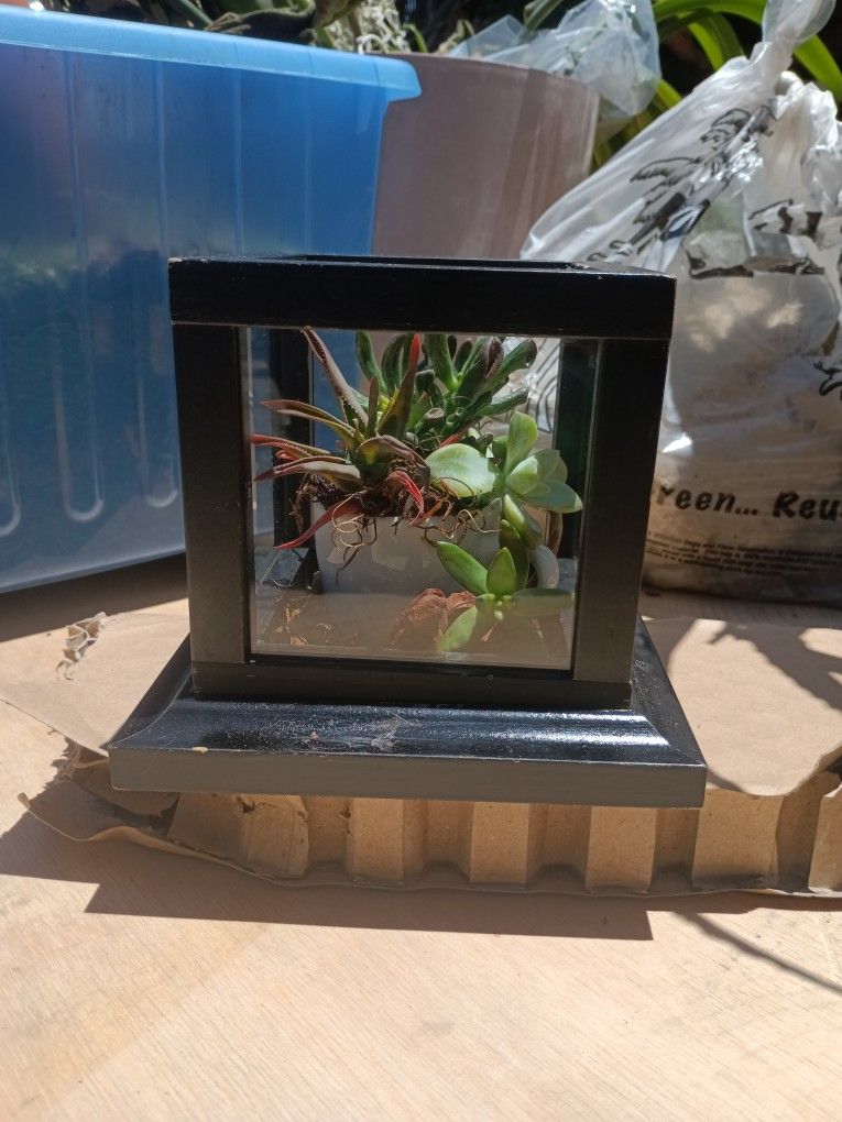 P-N-RP Picked From Everywhere And Repotted Into Any+Everything