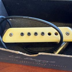 LR Baggs M1 Passive Acoustic Guitar Soundhole Humbucker Pickup