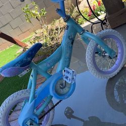 Frozen Bike