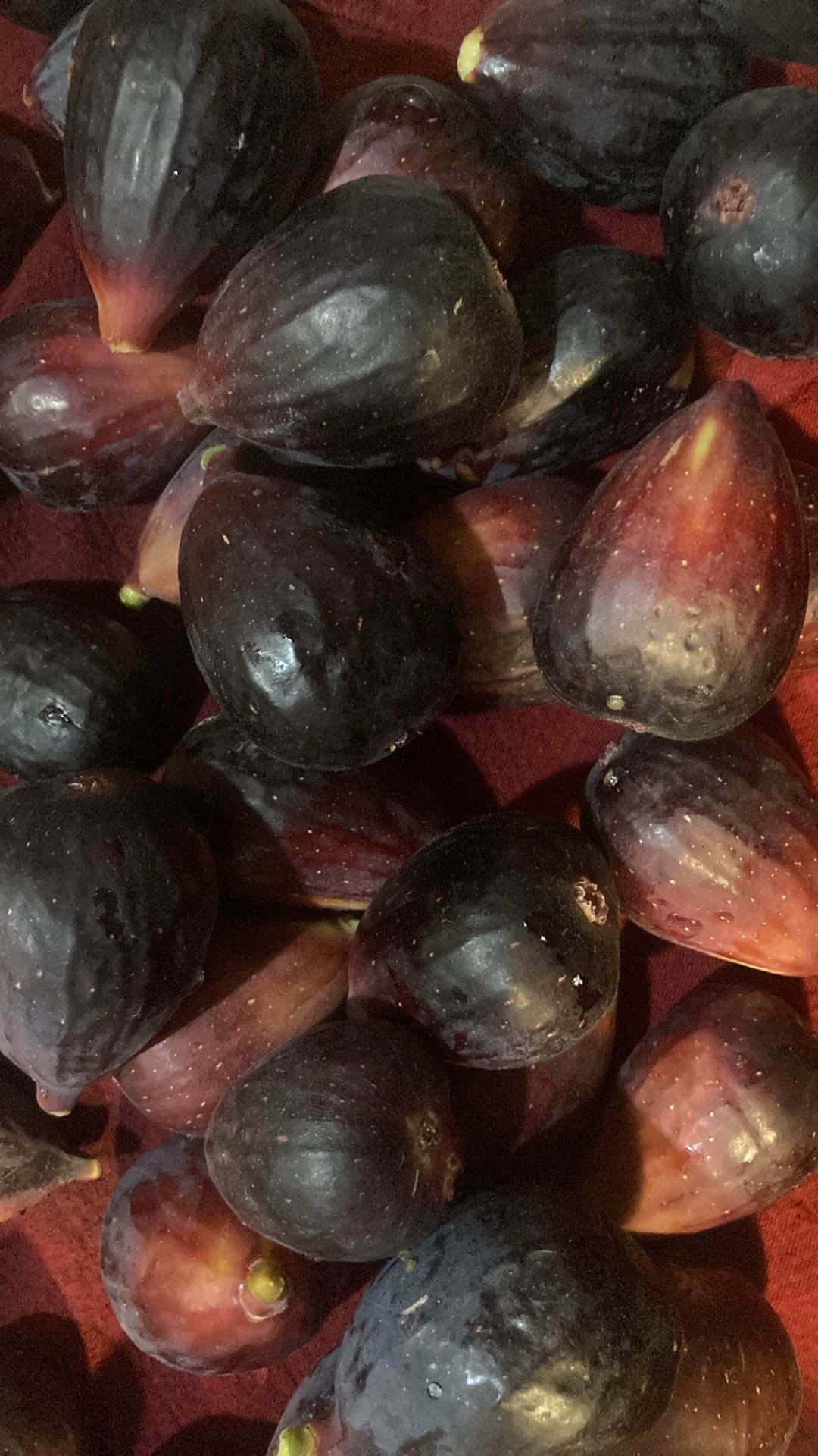 Fresh Figs: Higos Chiltepin