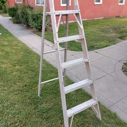 Ladder (6 Foot)