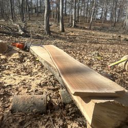 Oak Slabs For Sale 2" 