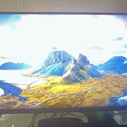 Gaming Monitor 100$ OBO