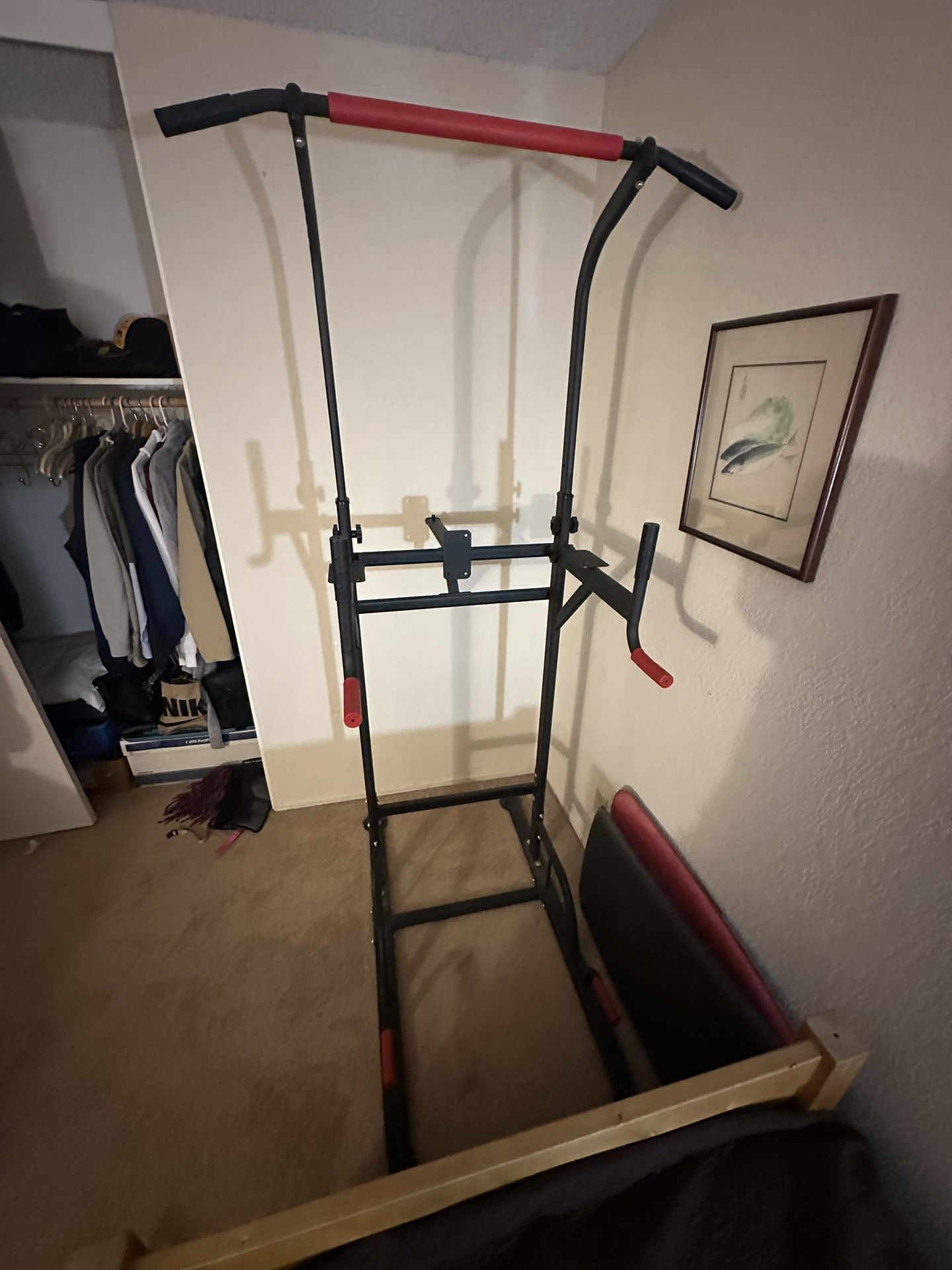 Pullup/dip Bar