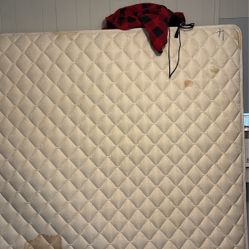 Free Mattress 