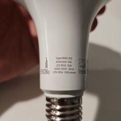 LED Bulbs BR40