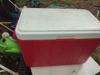 cooler 32 cans