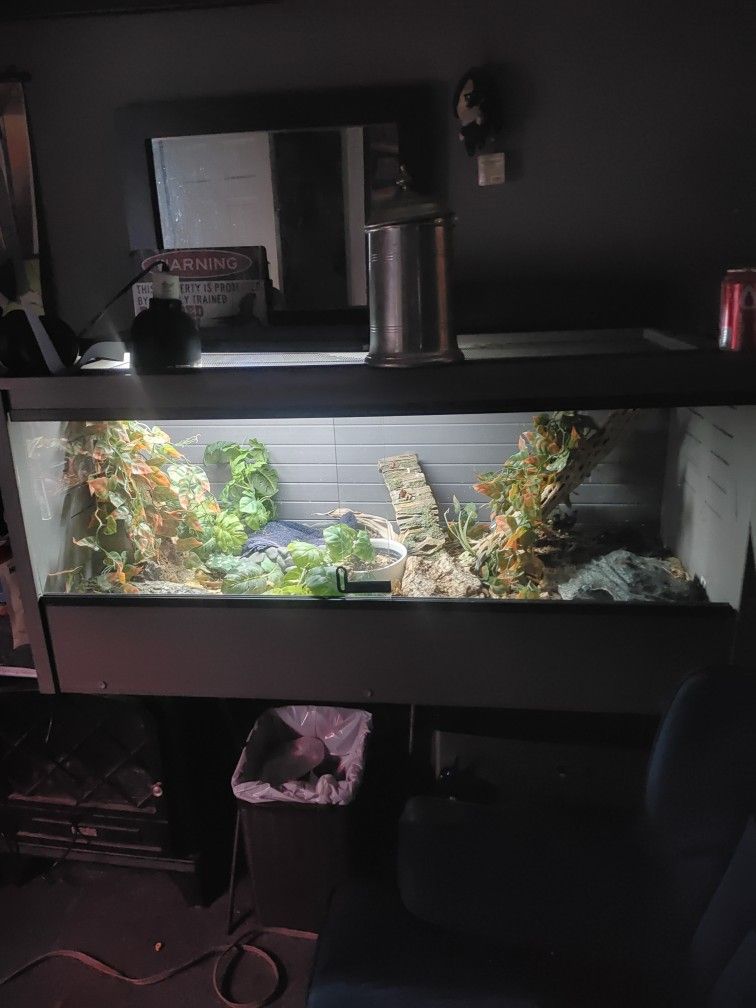 48x24x24 Tank