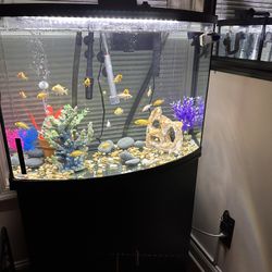36 Gallon Tank With Stand Bundles 