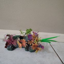Aquarium Trunk