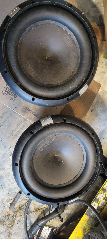 10in Subwoofer