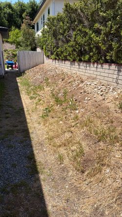Free dirt - approx 20 yards