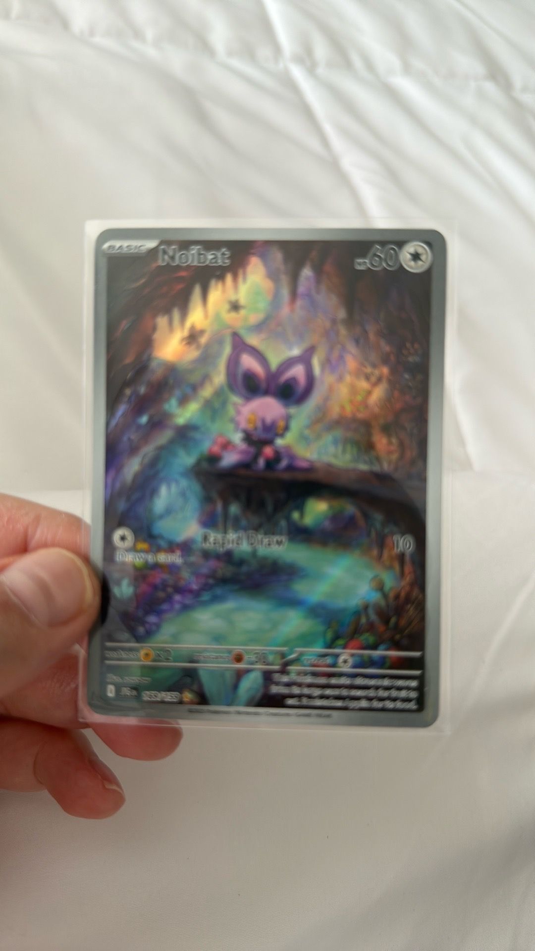 Pokémon Noibat 169