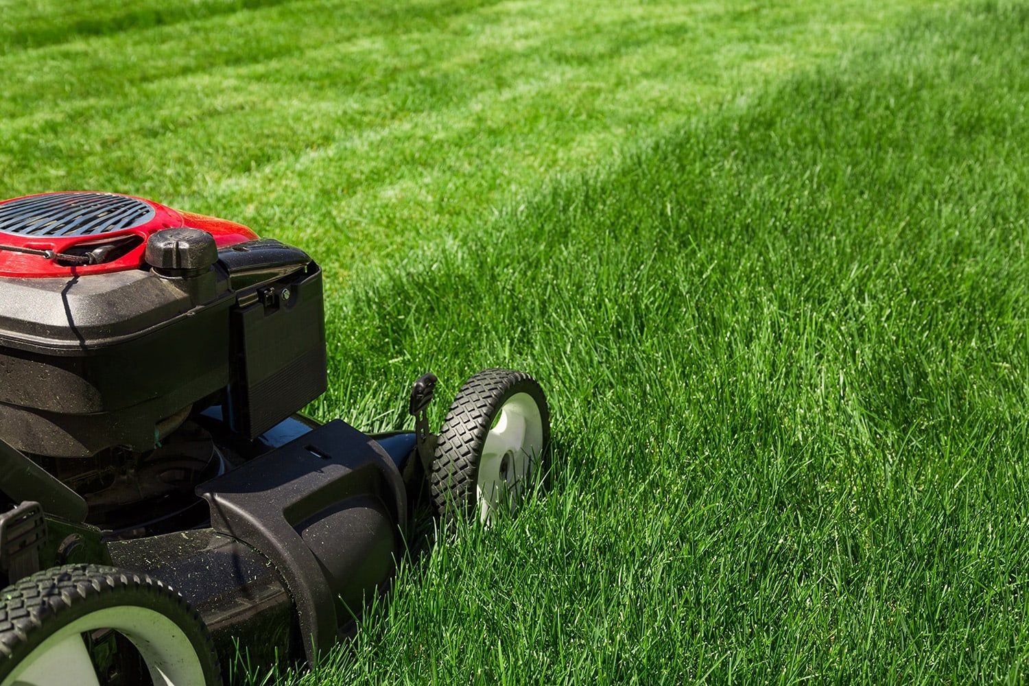 Anyone Need Lawn care ? 
