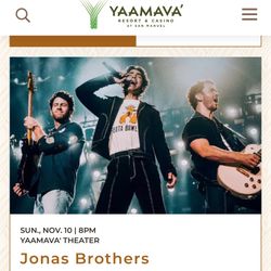 Jonas Brothers Concert