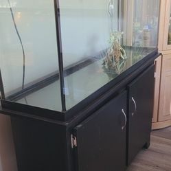 60 Gallon Fishtank/Stand