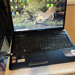 Toshiba Satellite 17” HD Blue Ray Player