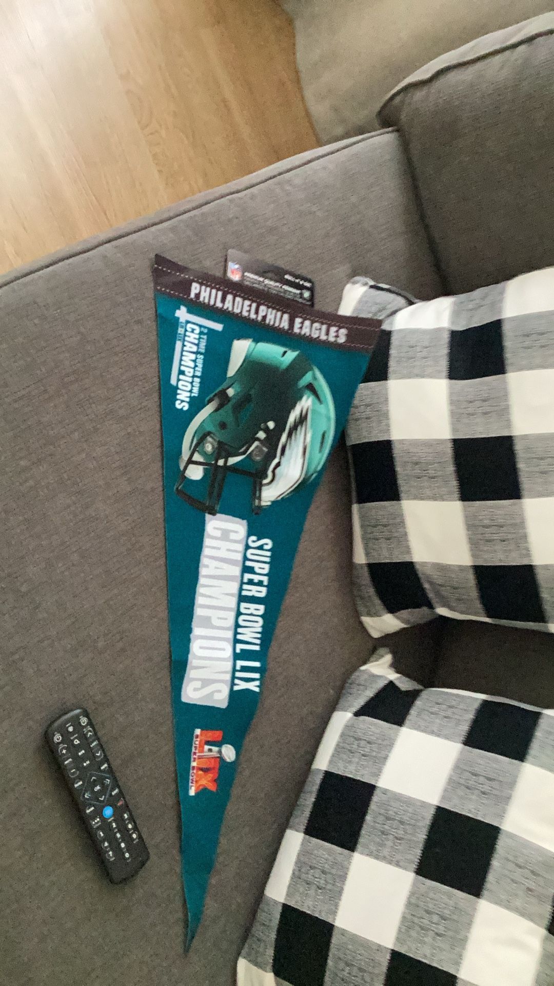 Philadelphia Eagles Super Bowl Champions Full Size Large Pennant New With Tags 