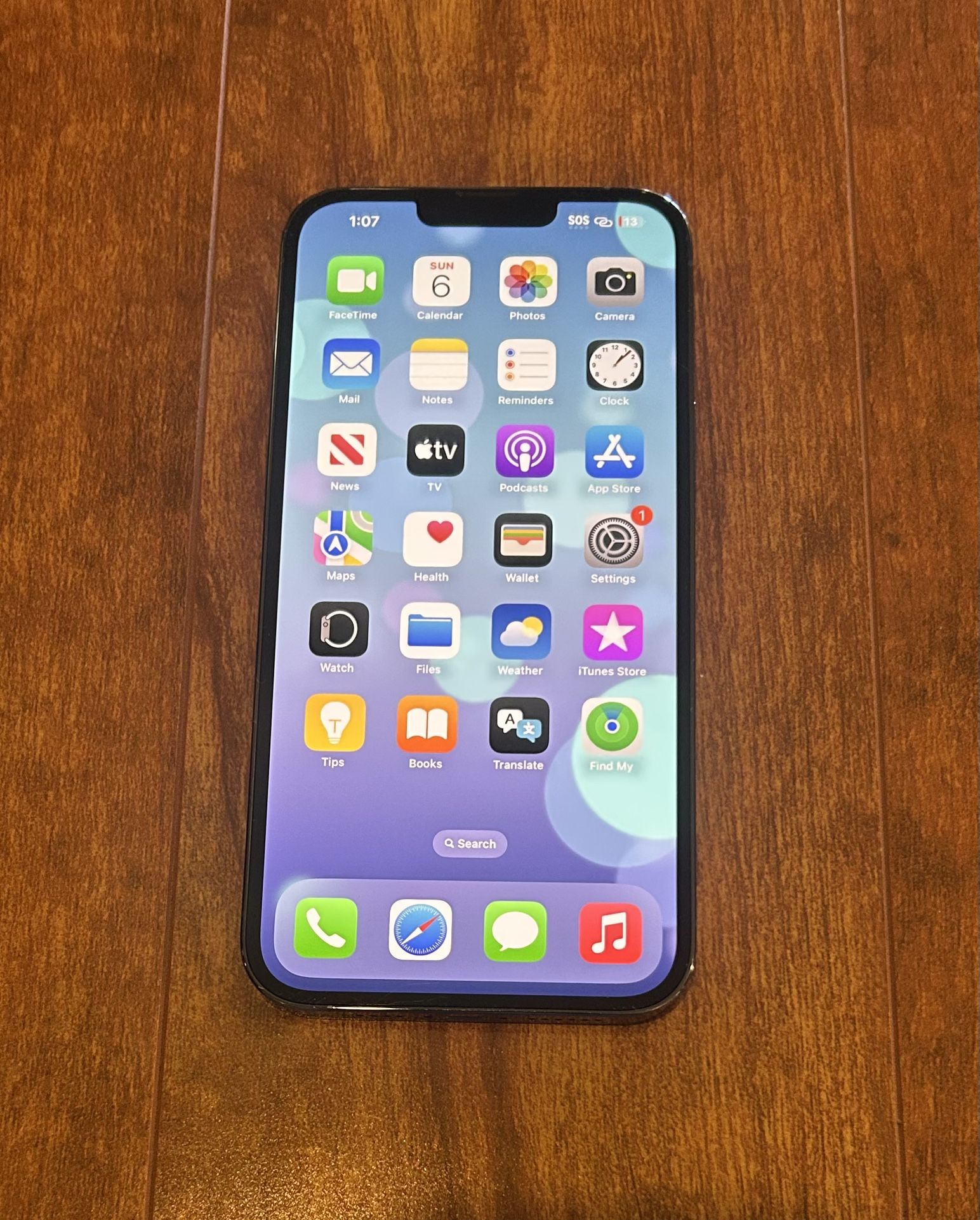 iPhone 13 Pro Max