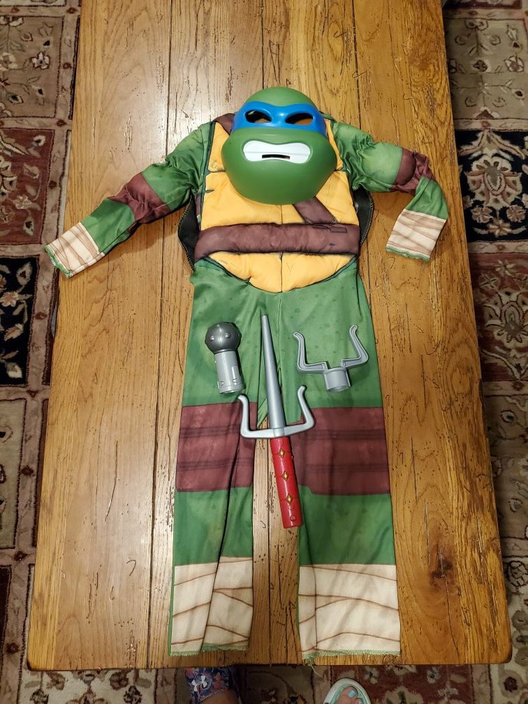 Ninja Turtle Halloween costume