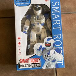 New Toy Robot