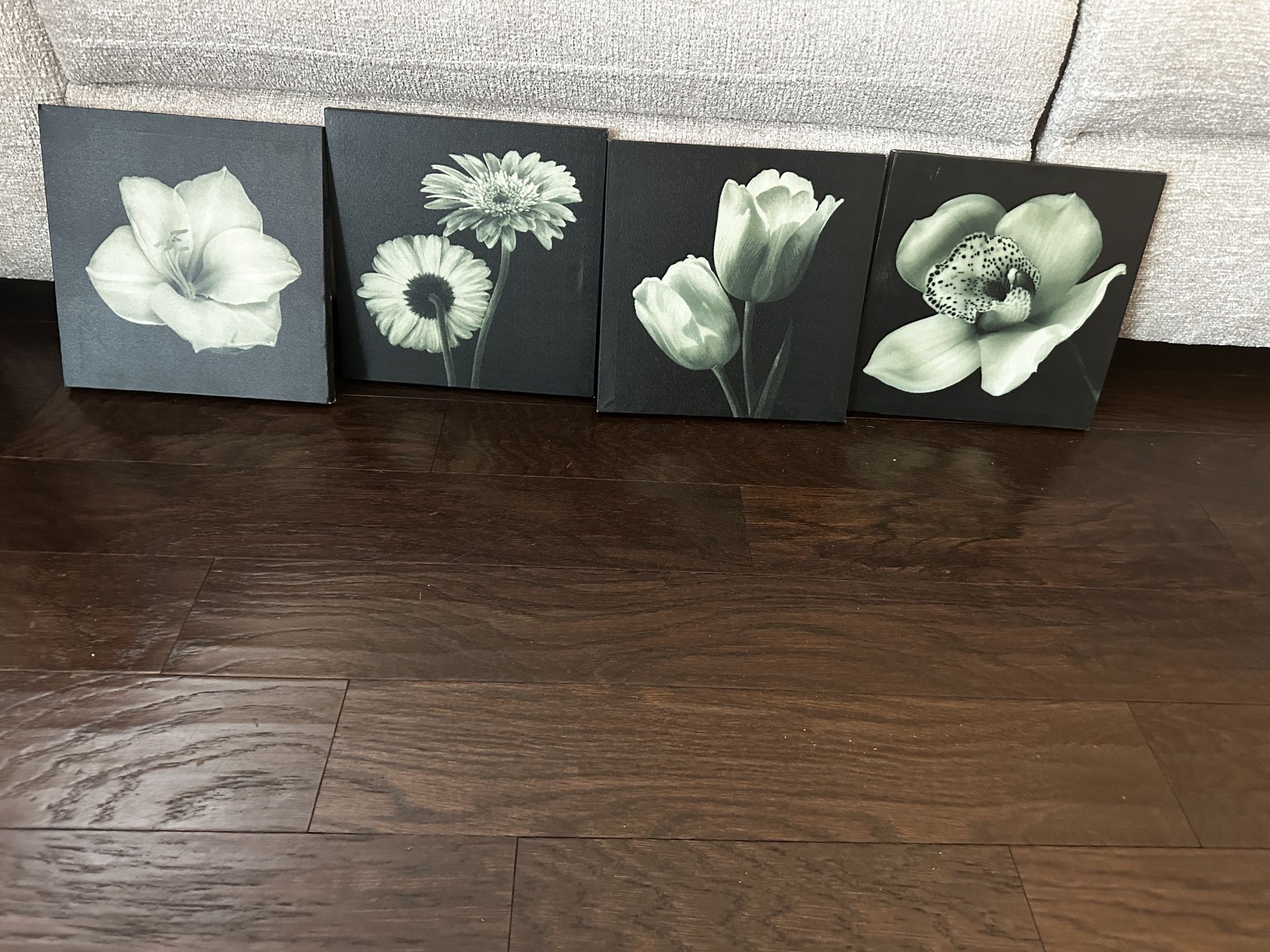House Items