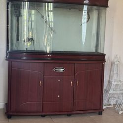 150 Gallon Fish Tank