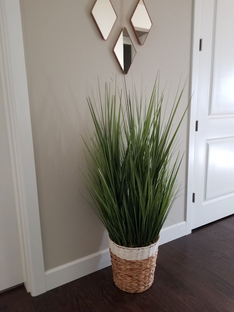 Rustic & Clean Fake Plant: ~ 4ft High, ~2ft Wide