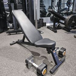 INSPIRE bench with adjustable dumbells(READ DESC. BEFORE MESSAGING)