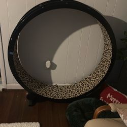 Cat Wheel