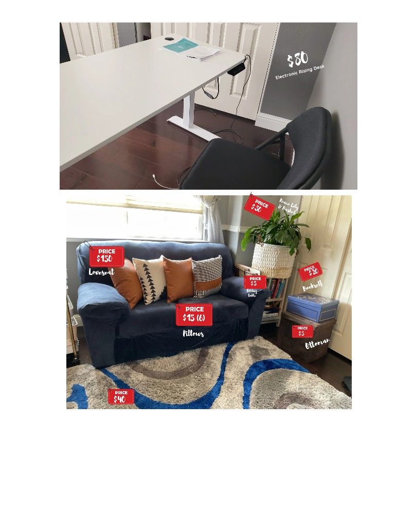 Small Room Furniture And Plants